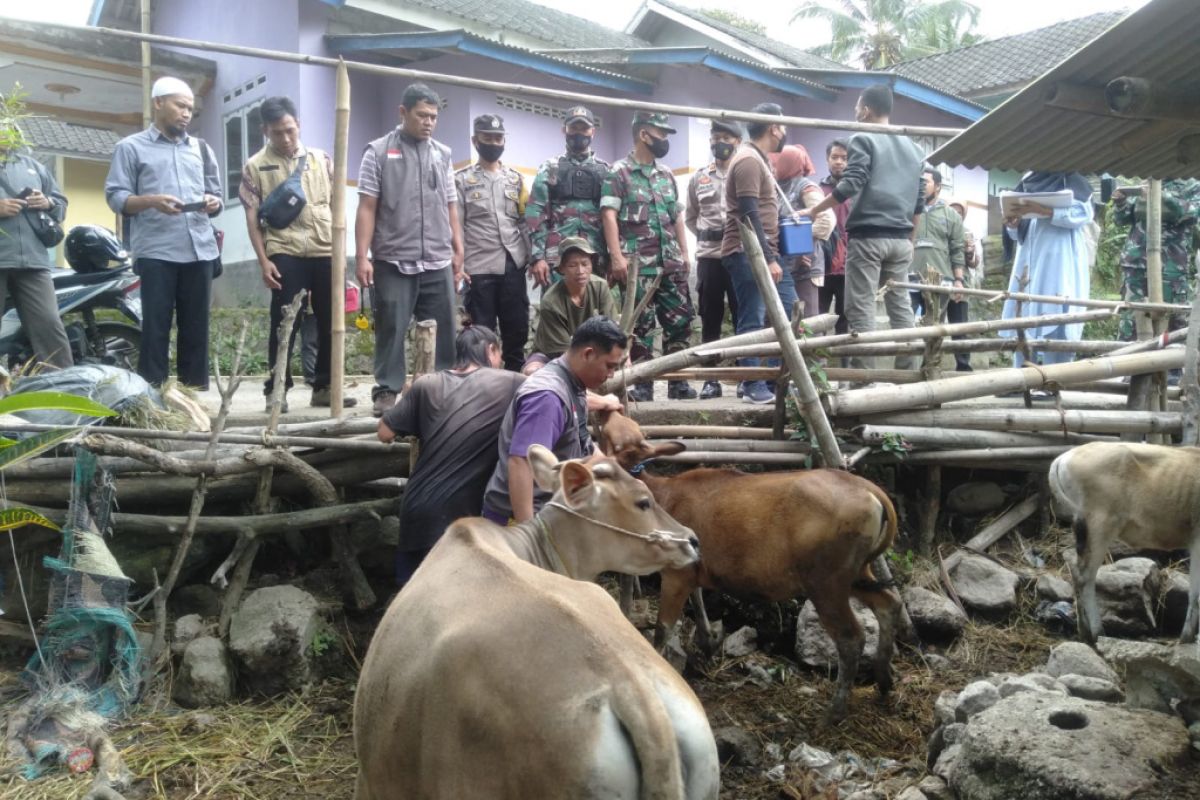 TNI-Polri mengawal percepatan vaksinasi PMK di Lombok Tengah