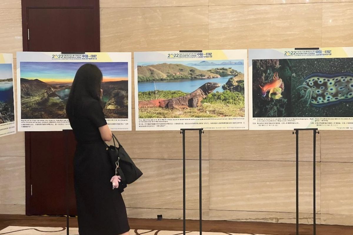 Pameran foto alam Indonesia dipamerkan di China