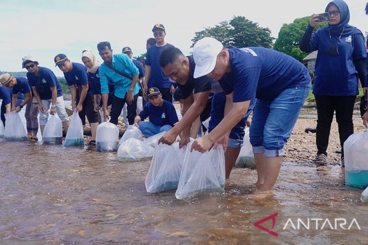 Jasa Raharja lepas 10.000 benih ikan di Sungai Subayang