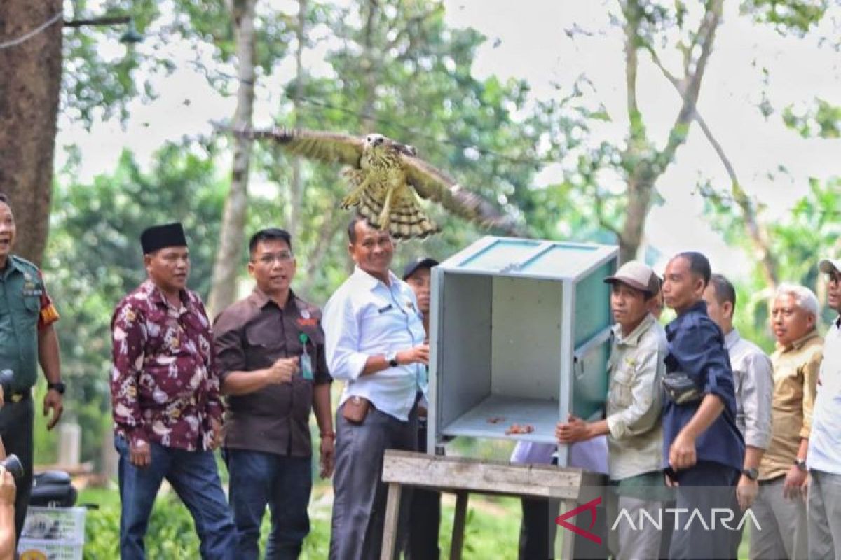 BKSDA Riau lepaskan burung dan kura-kura dilindungi