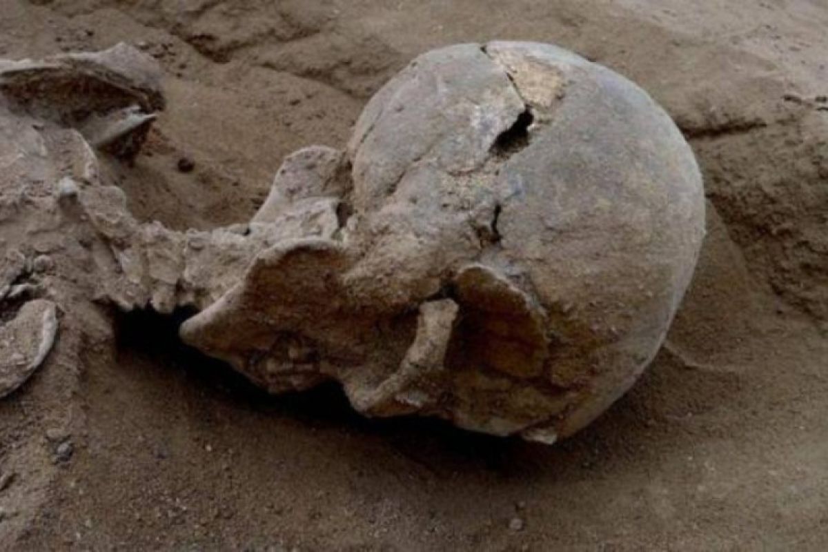 Menyelisik temuan kerangka manusia di Rorotan