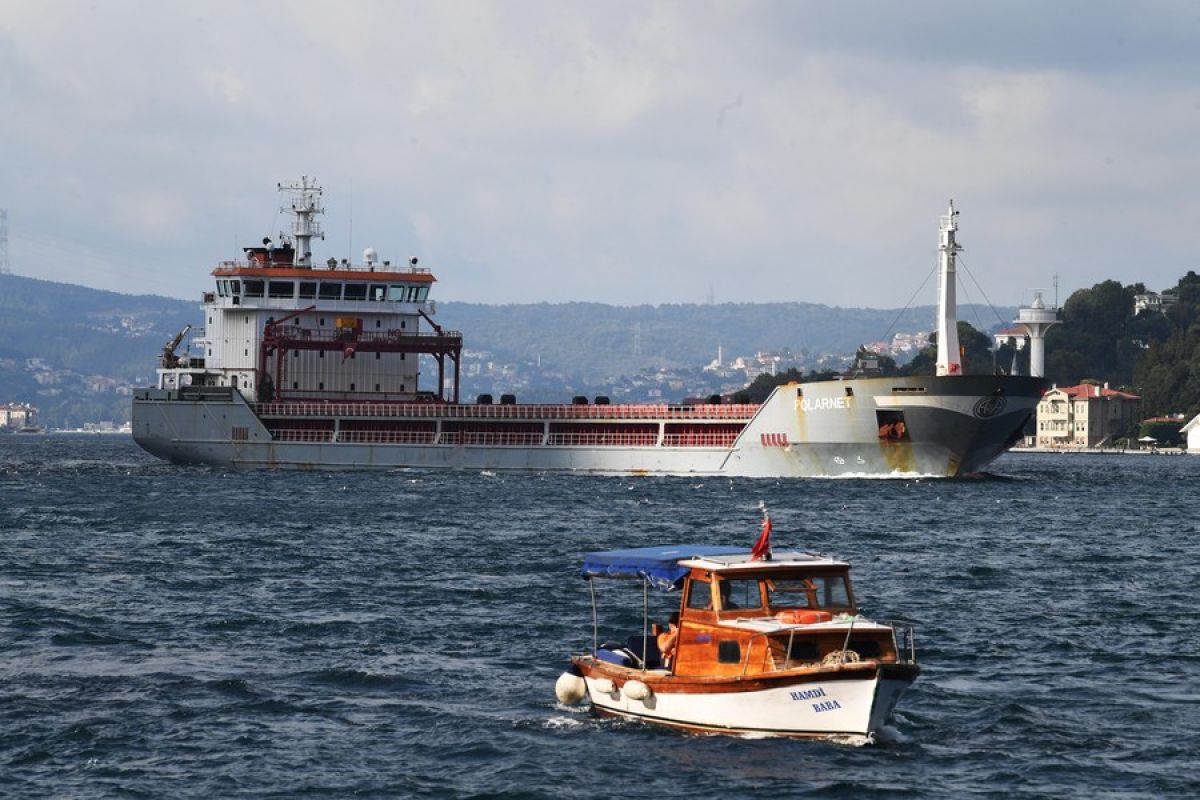 12 kapal berangkat dari pelabuhan Ukraina ekspor biji-bijian