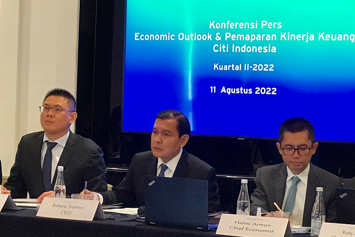Citibank: Indonesia cukup baik serap dampak negatif gejolak global