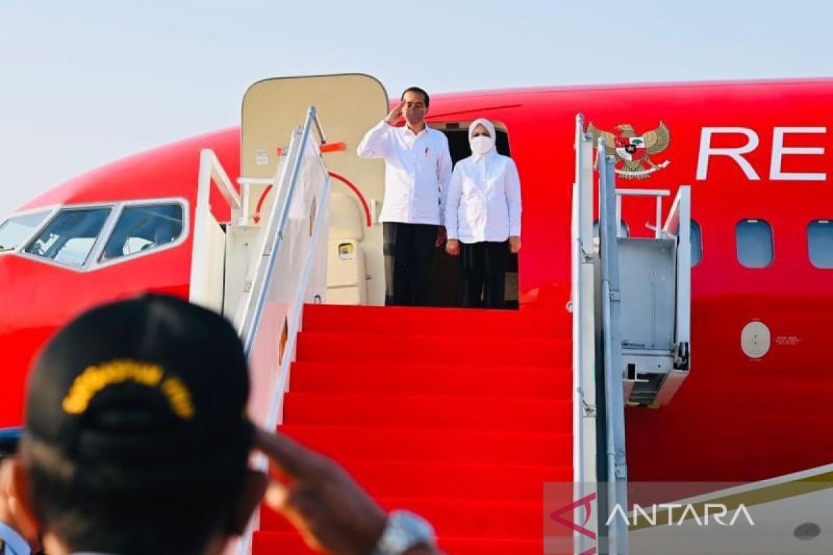 Presiden Jokowi akan tinjau pengembangan kelapa genjah di Jawa Tengah