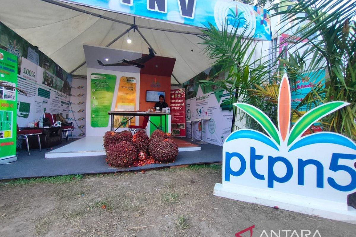 PTPN V Semarakkan Festival Rakyat Bagholek Godang