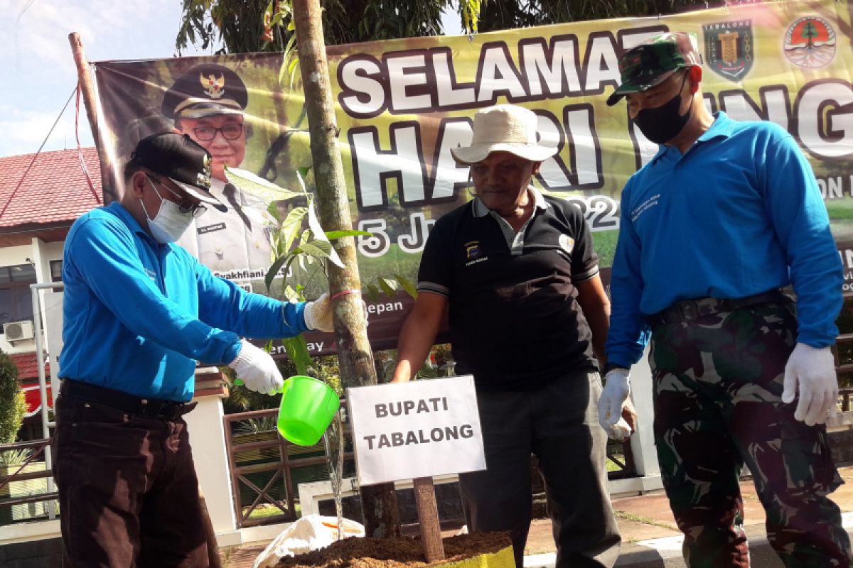 Bupati-Forkopimda Tabalong lakukan penanaman pohon