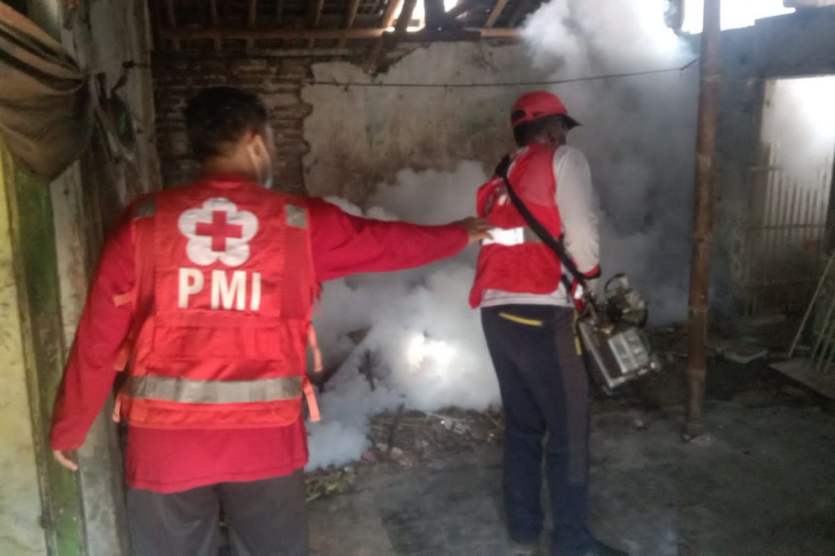 PMI Jember lakukan pengasapan di sejumlah lokasi berantas nyamuk penyebab DBD