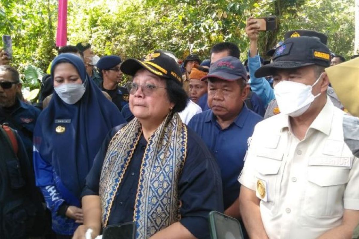 Menteri LHK tanam pohon di tepian DAS Indragiri Hulu