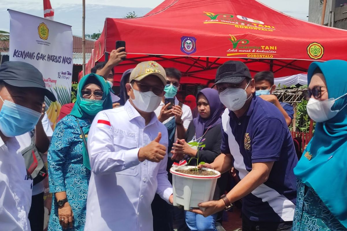 Gubernur Gorontalo luncurkan Germas 'Batanam Rica Sandiri'