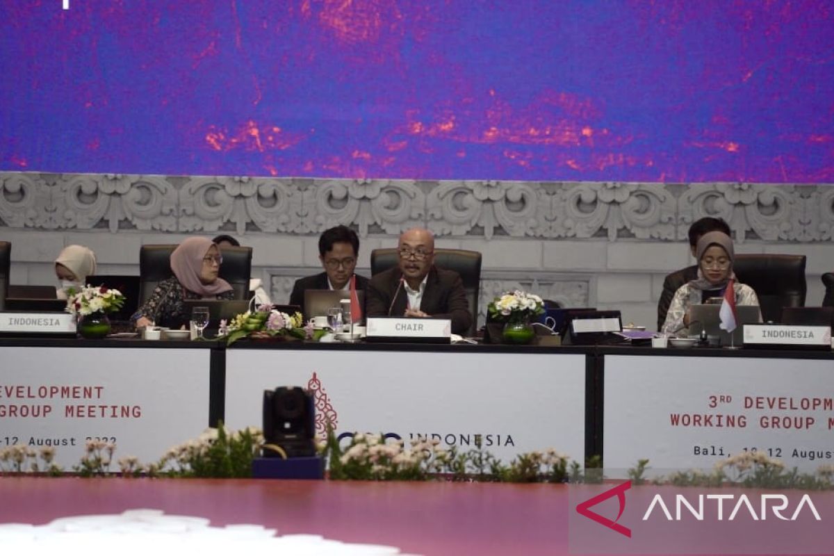 Indonesia finalkan hasil pertemuan G20 DWG yang menekankan multilateralisme