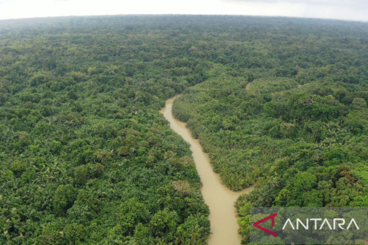 Melacak jejak badak jawa, sesulit mencegah kepunahan (2)