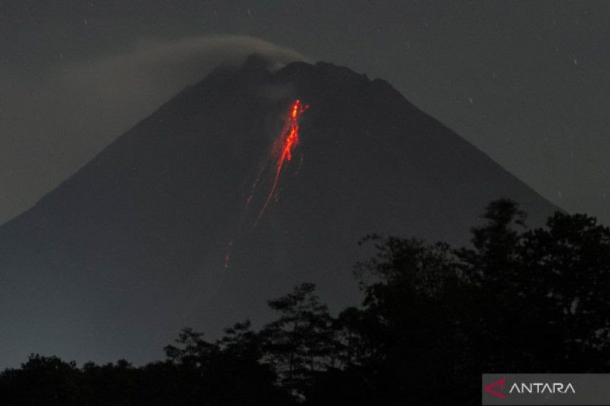 Guguran lava meluncur 43 kali dari Gunung Merapi selama sepekan