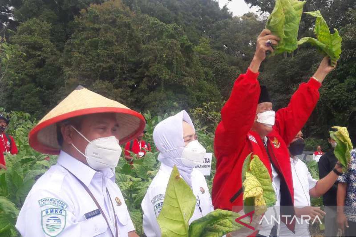 Anggota DPR: Perlu solusi penggunaan pupuk setelah subsidi dicabut