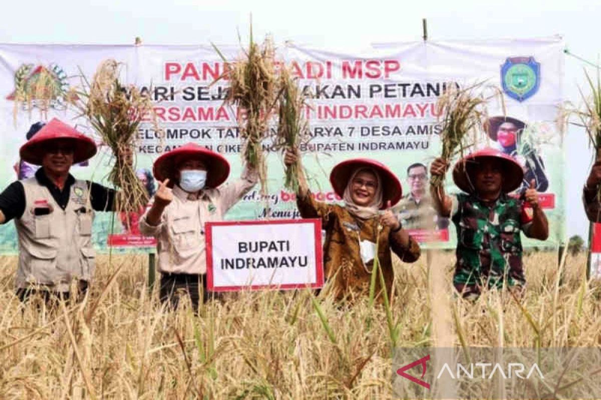 Pemkab Indramayu raih penghargaan dari Kementan