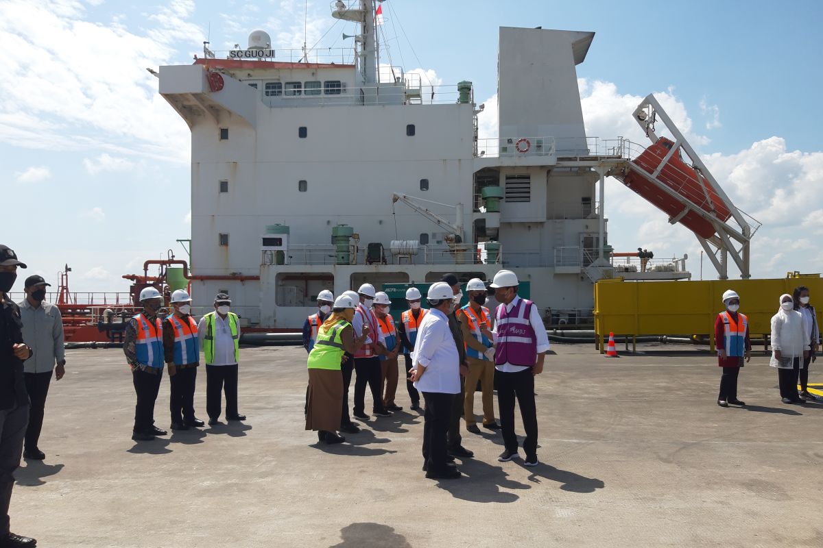 Zulfydar Zaidar soroti ekspor kratom di Terminal Kijing