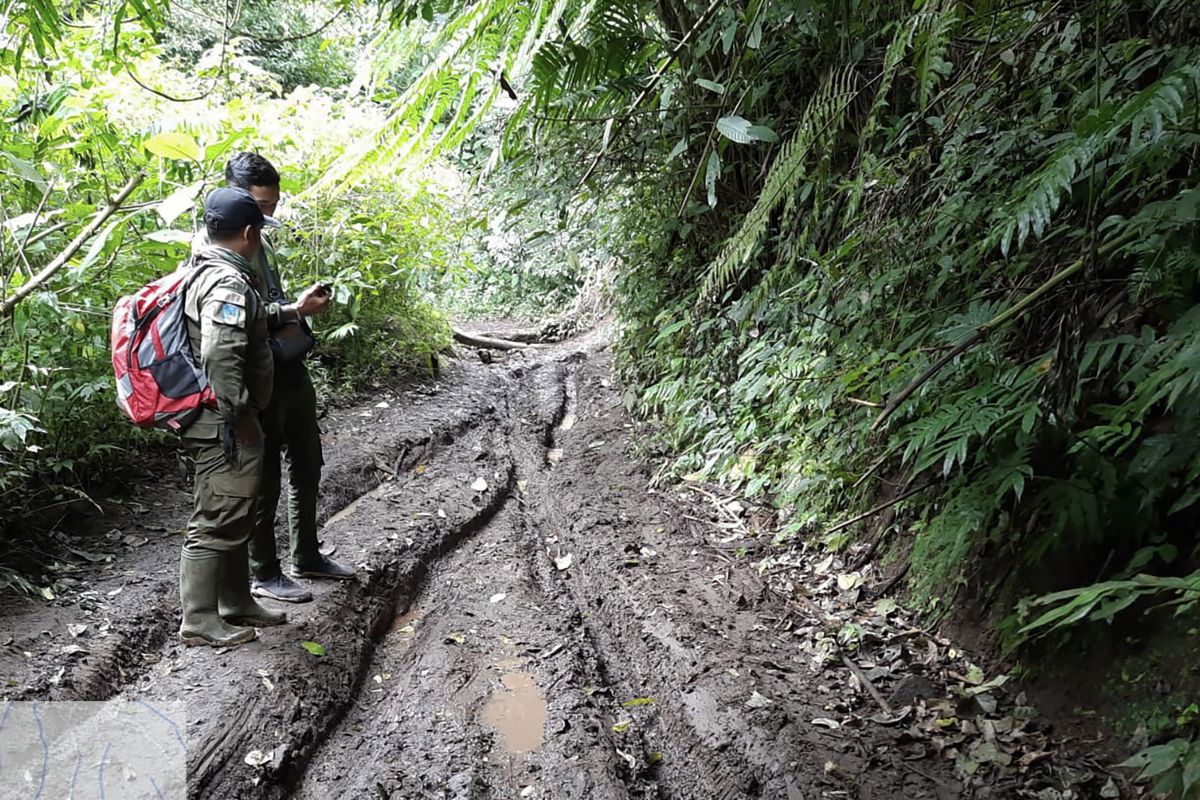 UPT Tahura R. Soerjo larang aktivitas motor trail di kawasan konservasi