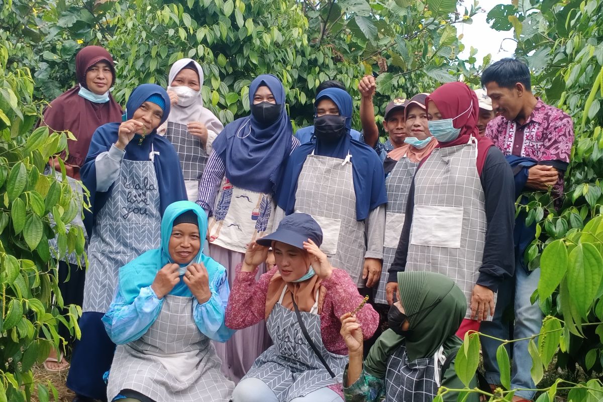 IKM Sendoyan dapat pelatihan cara hasilkan lada bubuk berstandar