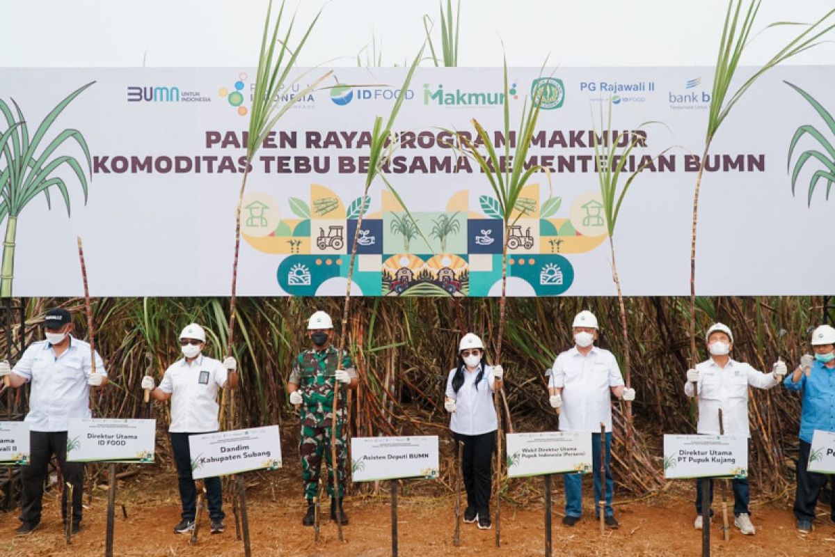 Program Makmur tingkatkan produktivitas tebu di Subang