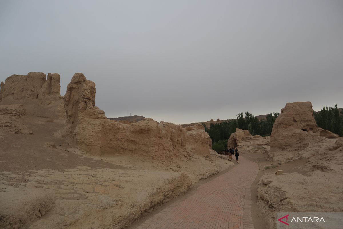 Sekitar 2.000 wisatawan terjebak di Xinjiang karena COVID-19