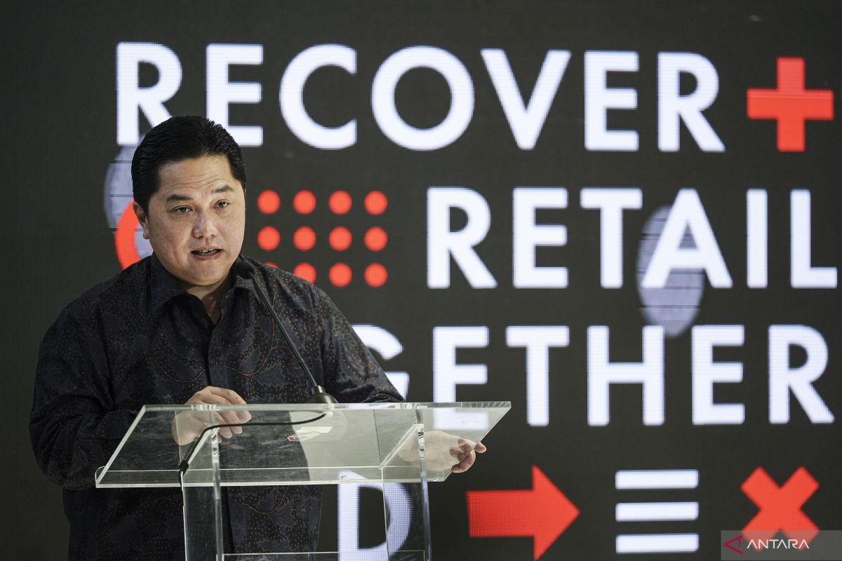 Healthy state firms can balance the market: Minister Thohir