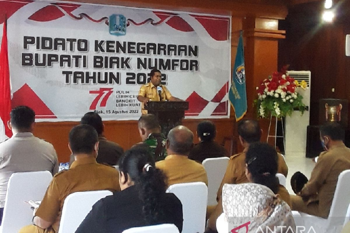 Pemkab Biak harap BUMN-BUMD lakukan pendampingan pelaku usaha OAP