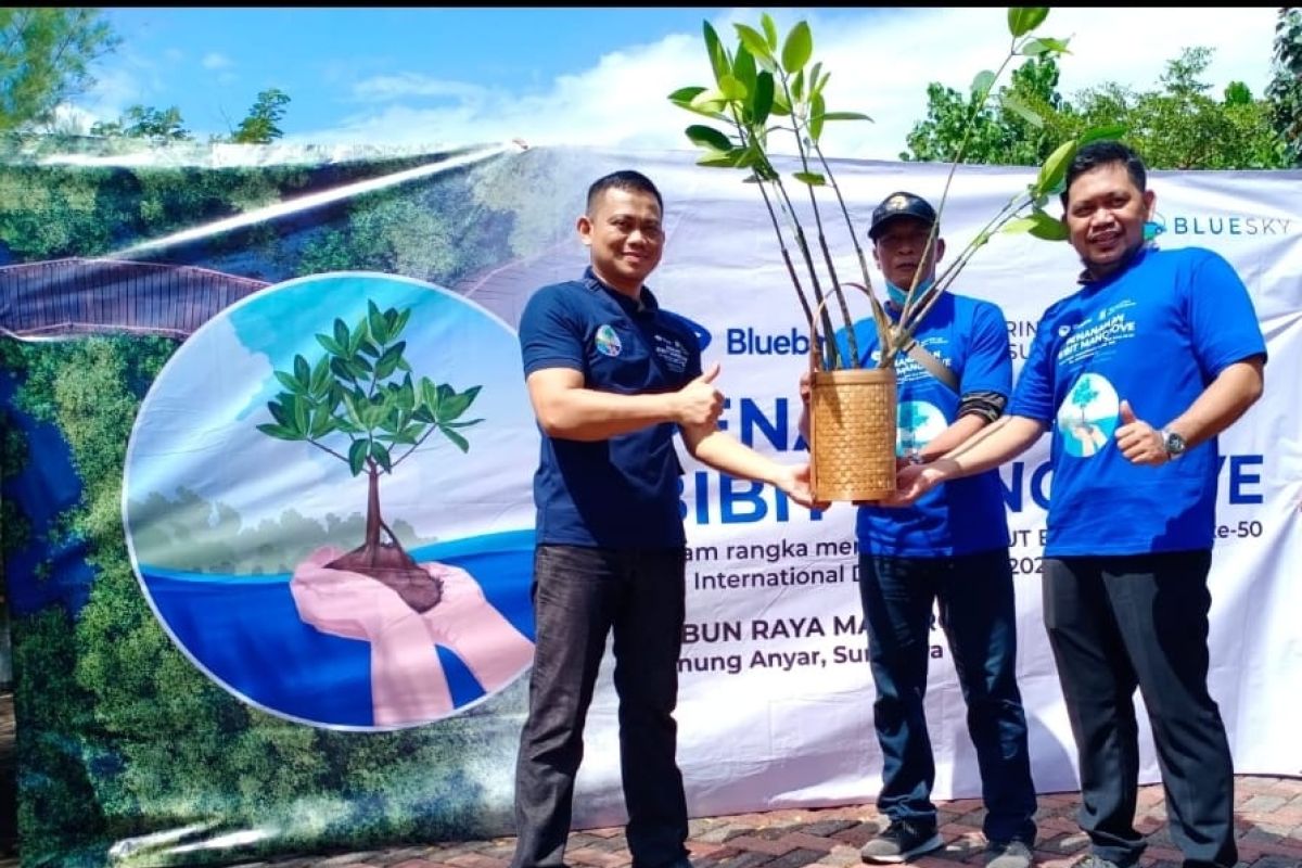 Bluebird sumbang 5.000 bibit mangrove ke Pemerintah Kota Surabaya