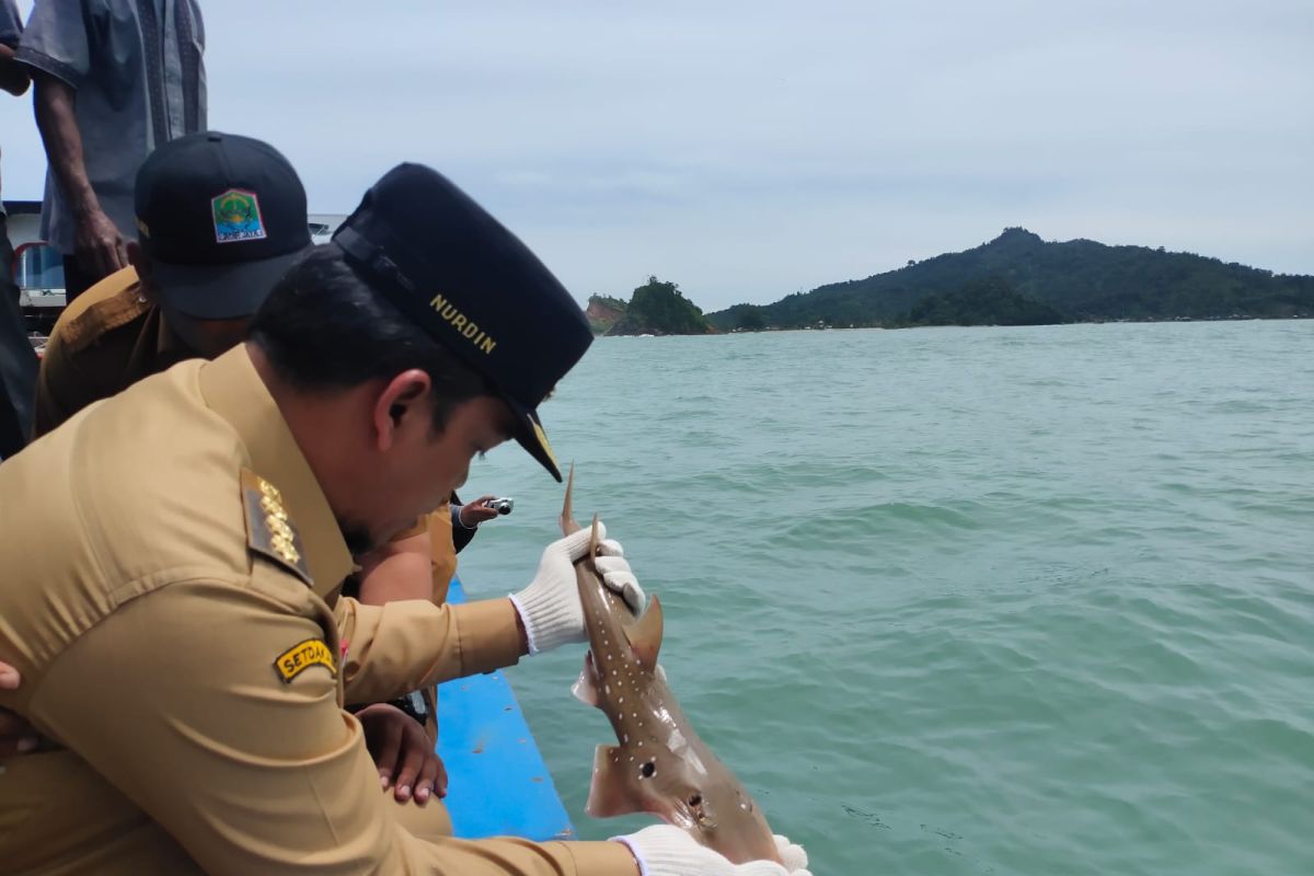 Pj Bupati ajak nelayan jaga kelestarian hewan laut