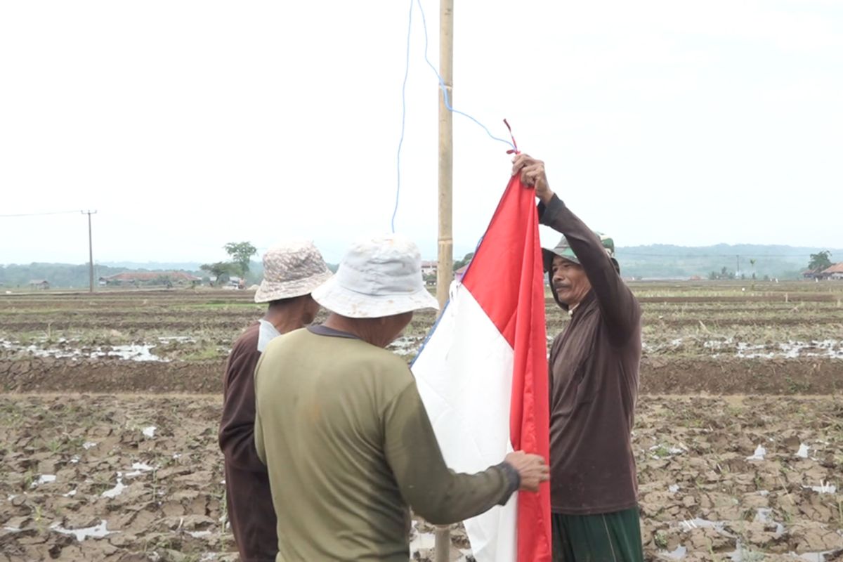 Dedi Mulyadi kibarkan Bendera Merah Putih bersama petani di tengah areal persawahan