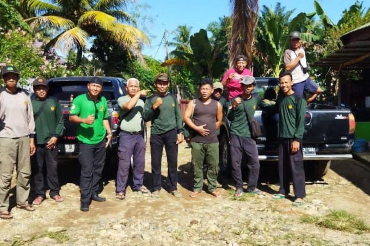 Dua personel tim patroli harimau Sumatera tewas tertimpa pohon
