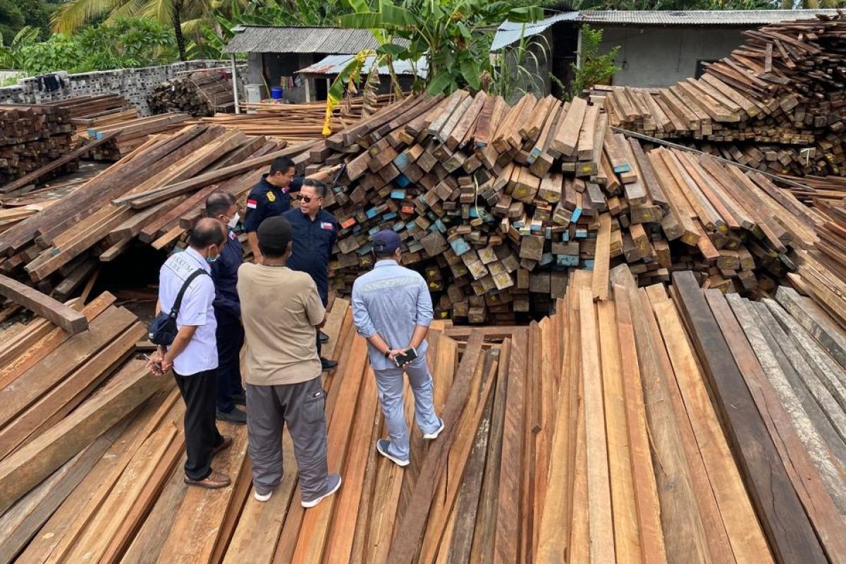 KLHK berikan ribuan kayu guna penataan kawasan Tahura Bali