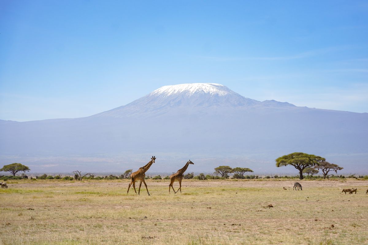 Tanzania sediakan koneksi internet berkecepatan tinggi di Kilimanjaro