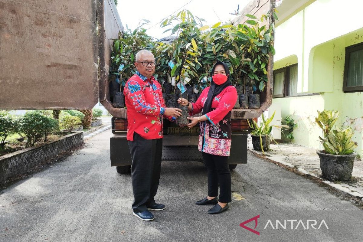 Kalteng kirim 6.000 bibit durian gelapir ke kawasan IKN Nusantara