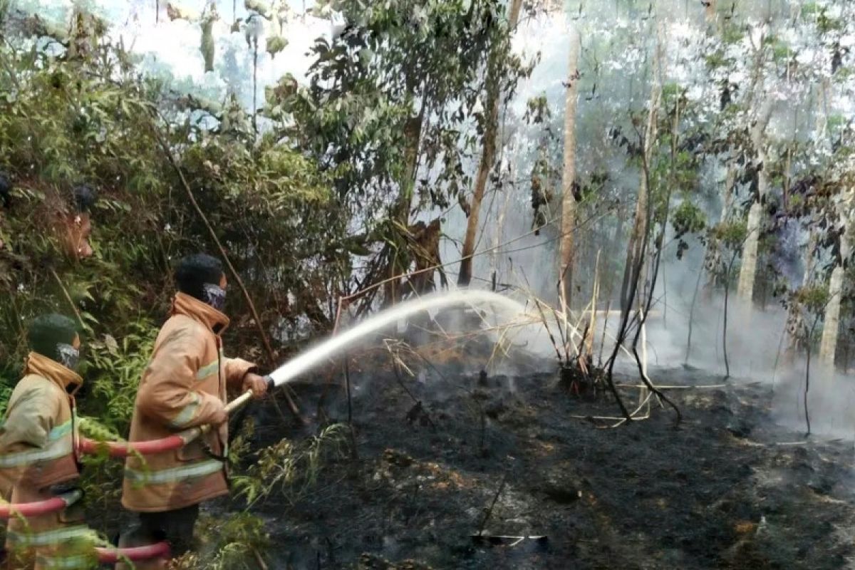 Hingga Agustus, 18  kebakaran terjadi di Kabupaten Batanghari