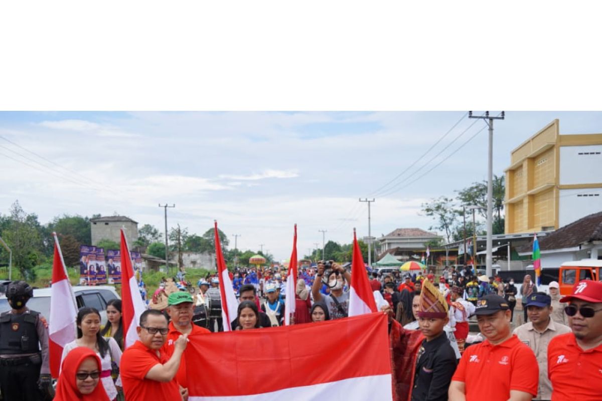 Penjabat Bupati Mesuji buka pawai seni dan budaya dalam rangka HUT RI