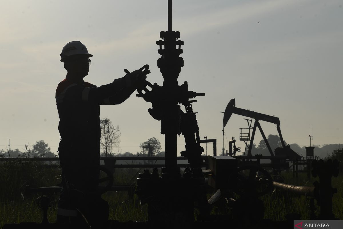 Harga minyak menetap lebih tinggi setelah persediaan AS turun