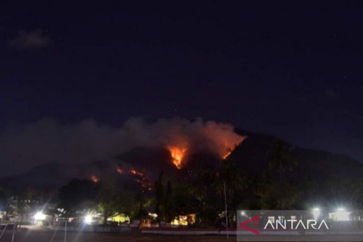 BMKG: seluruh wilayah NTT berstatus sangat mudah terbakar