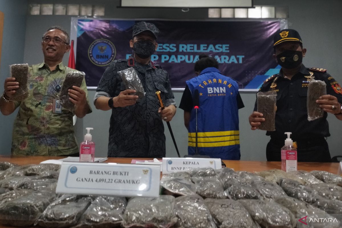 BNN Papua Barat tangkap mahasiswi pembawa 4,1 kilogram ganja