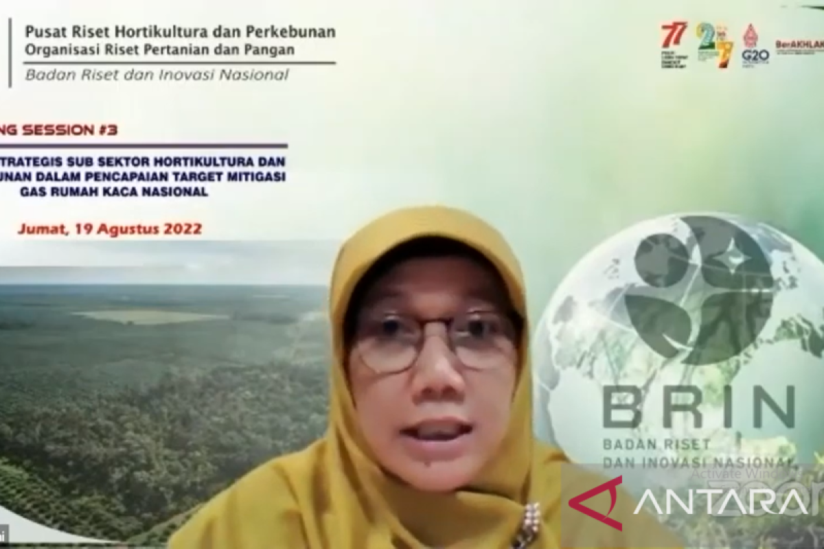 BRIN: Hortikultura-perkebunan berpotensi besar atasi perubahan iklim