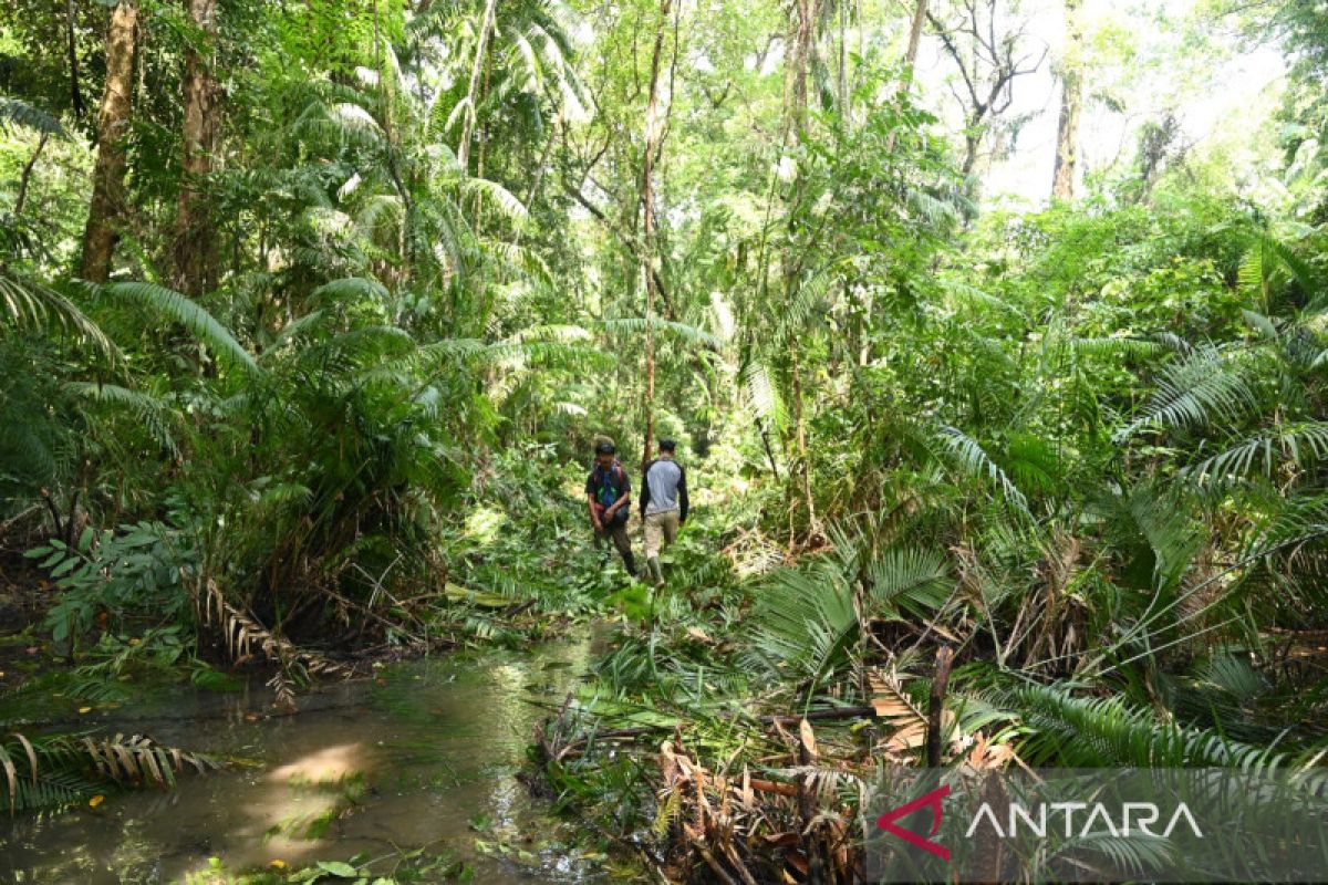 Taman Nasional Ujung Kulon habitat terakhir konservasi badak jawa