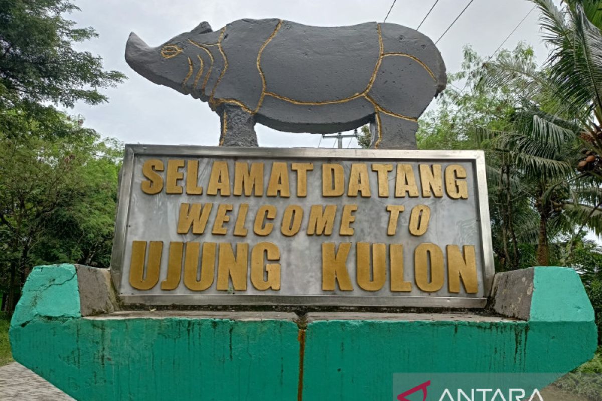 Javan rhinos, coloring people's lives from the shadows