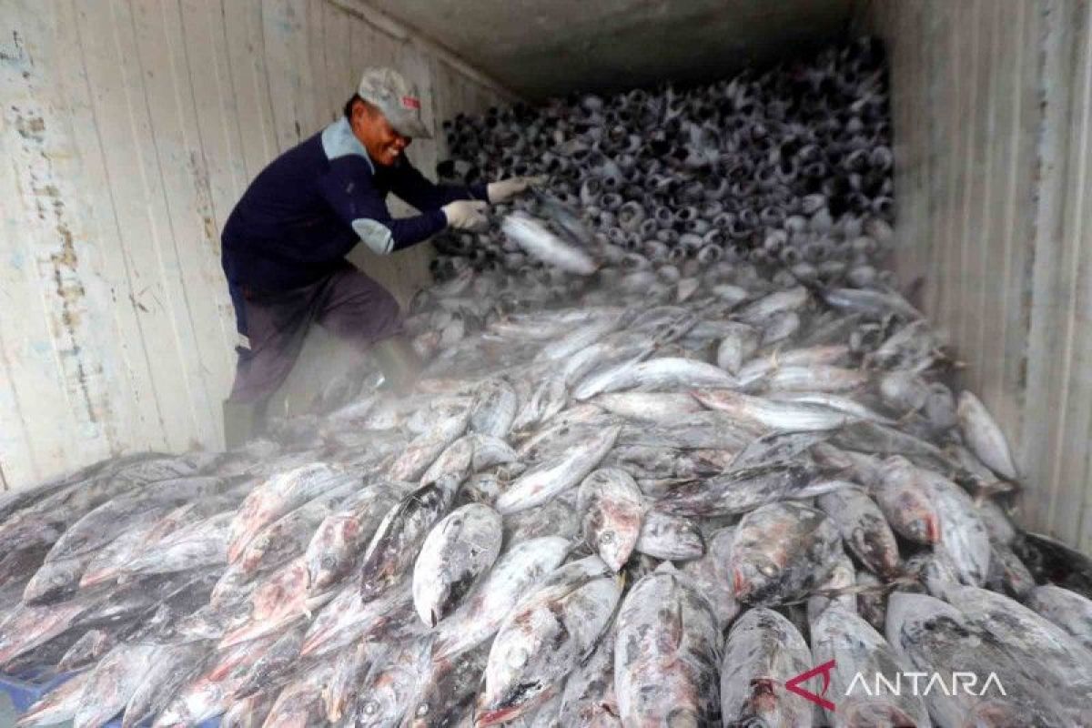 KKP rayakan kemerdekaan RI dengan ekspor 2.533 kg Tuna Papua ke Jepang