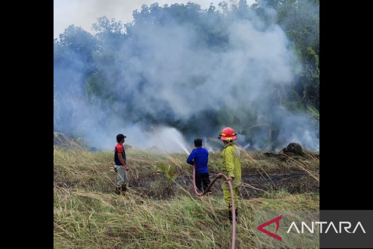 Sekitar 1,5 hektare hutan pesisir di Bangka Tengah terbakar