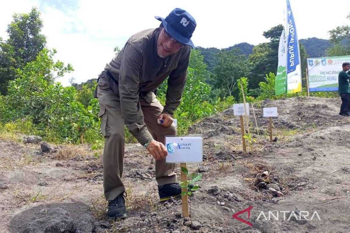 PT Timah tanam ribuan pohon buah di lahan kritis Bukit Menumbing