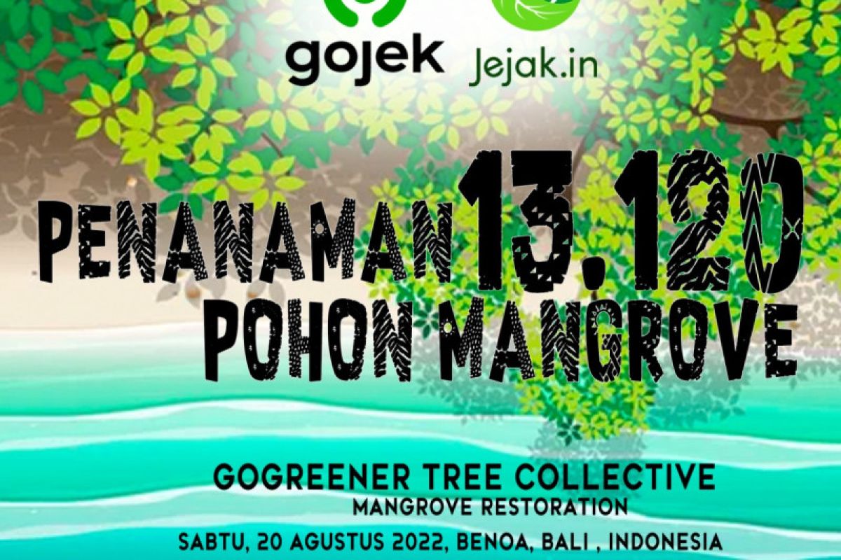 TEMANMU Bali Tanam 13.120 batang mangrove di Benoa