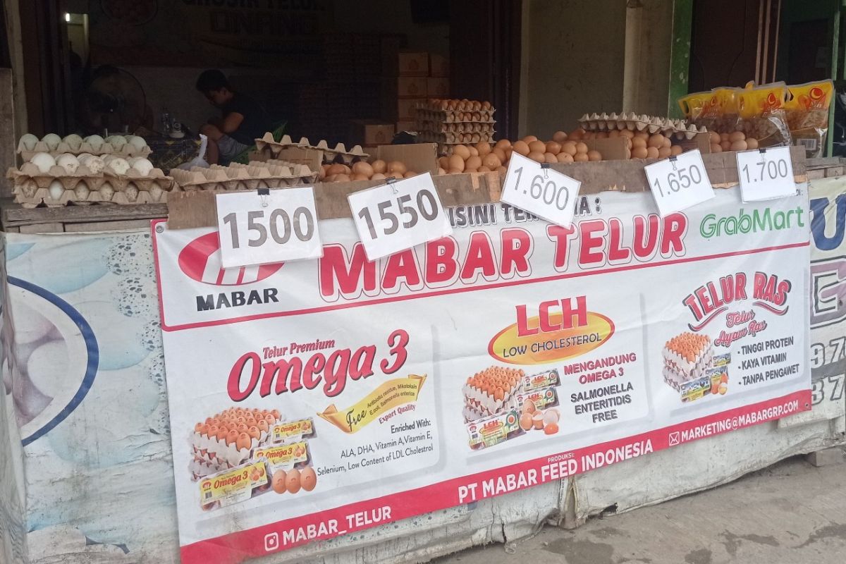 Pemilik warung nasi minta harga telur ayam ras di Medan diturunkan