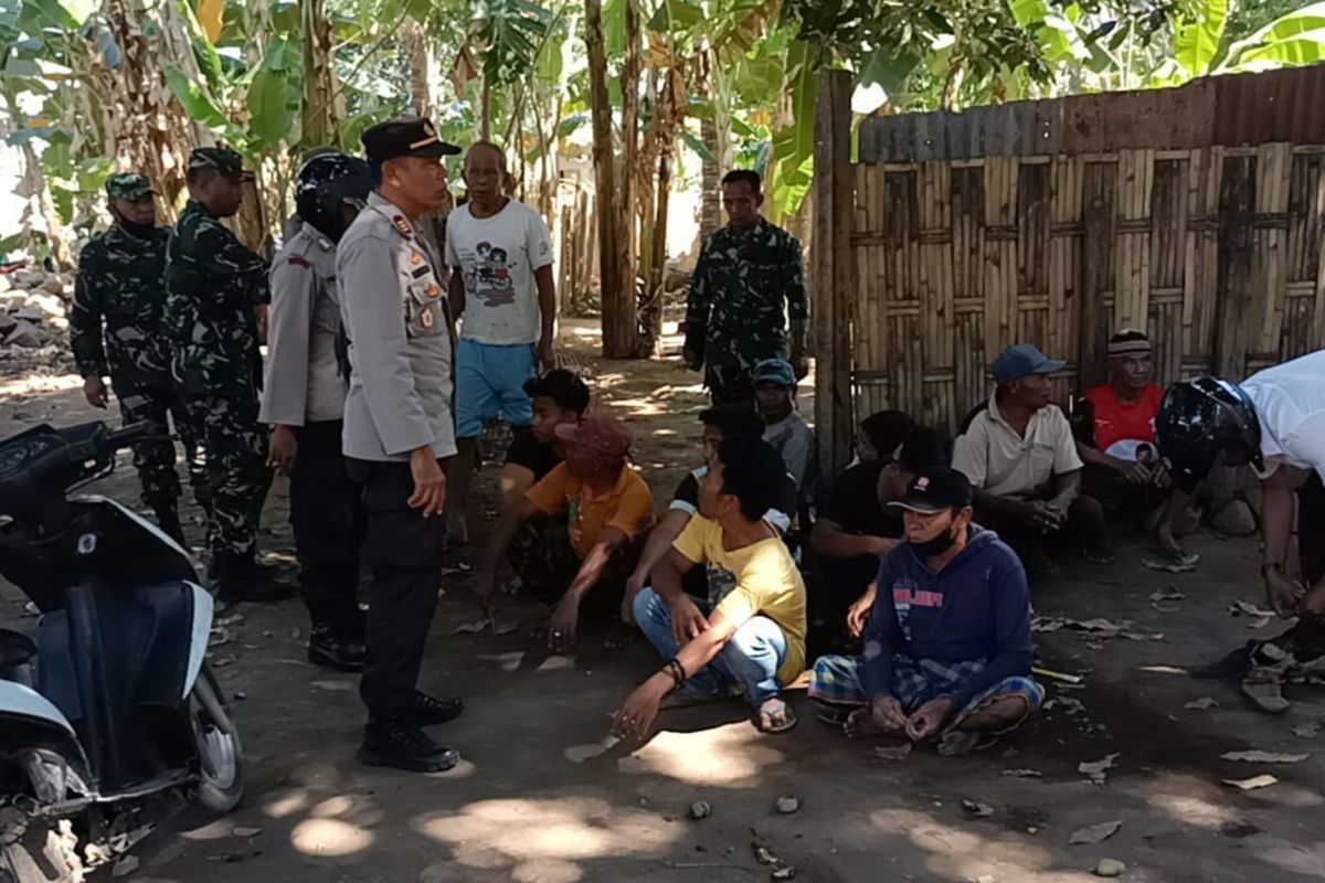 12 pelaku judi sabung ayam di Lombok Timur ditangkap polisi