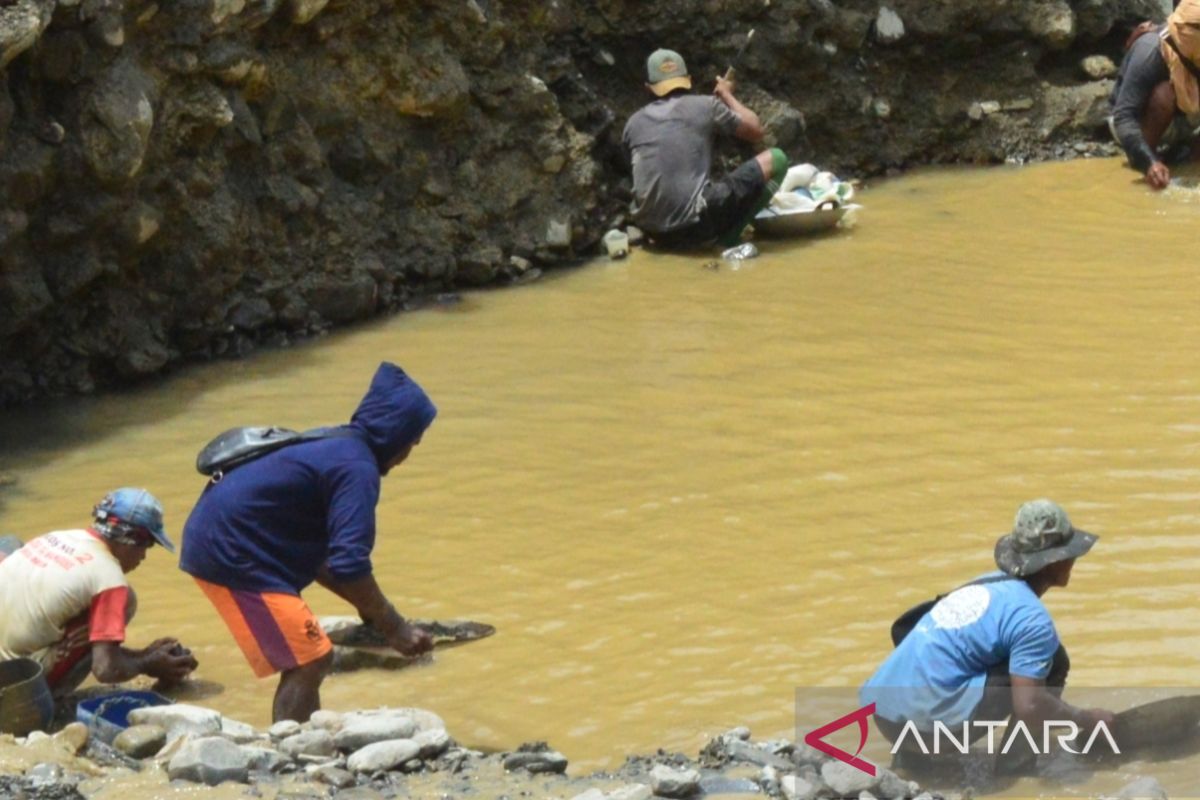 SAR Manokwari evakuasi pekerja tambang ilegal