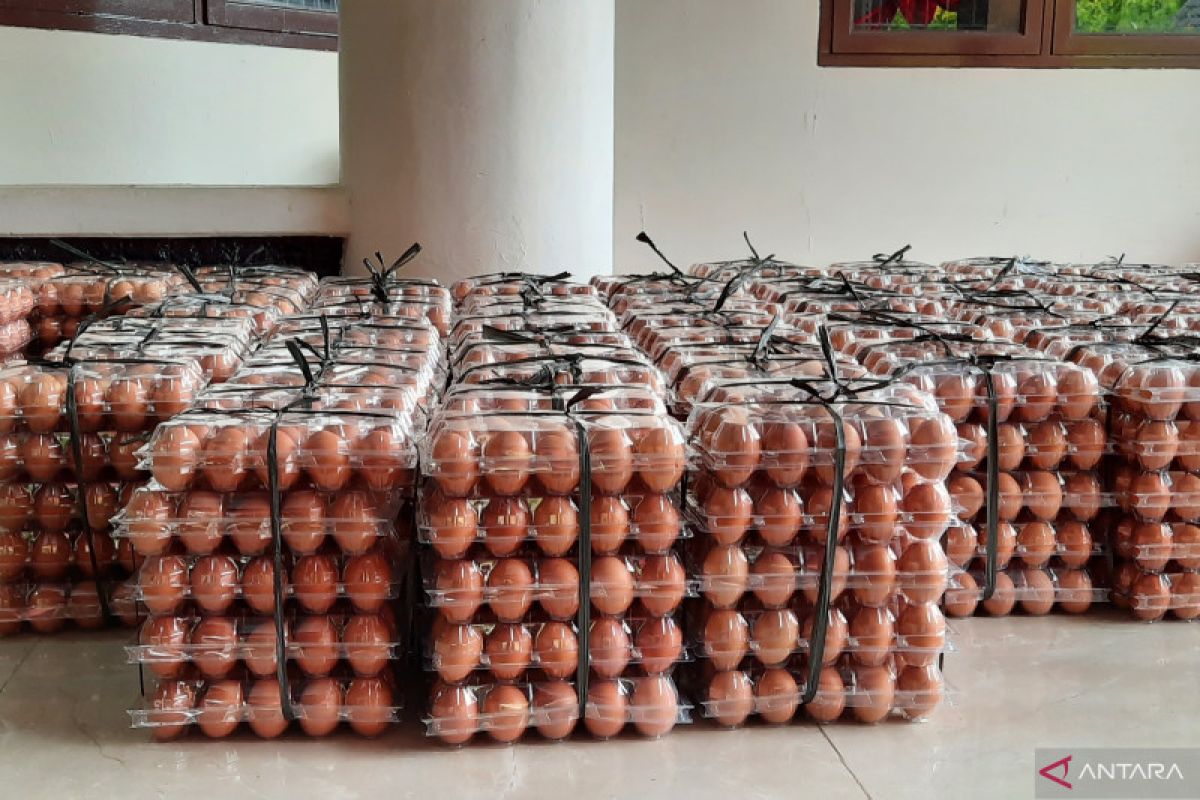 Disperindag: Kenaikan harga telur di Tangerang dampak pakan ayam