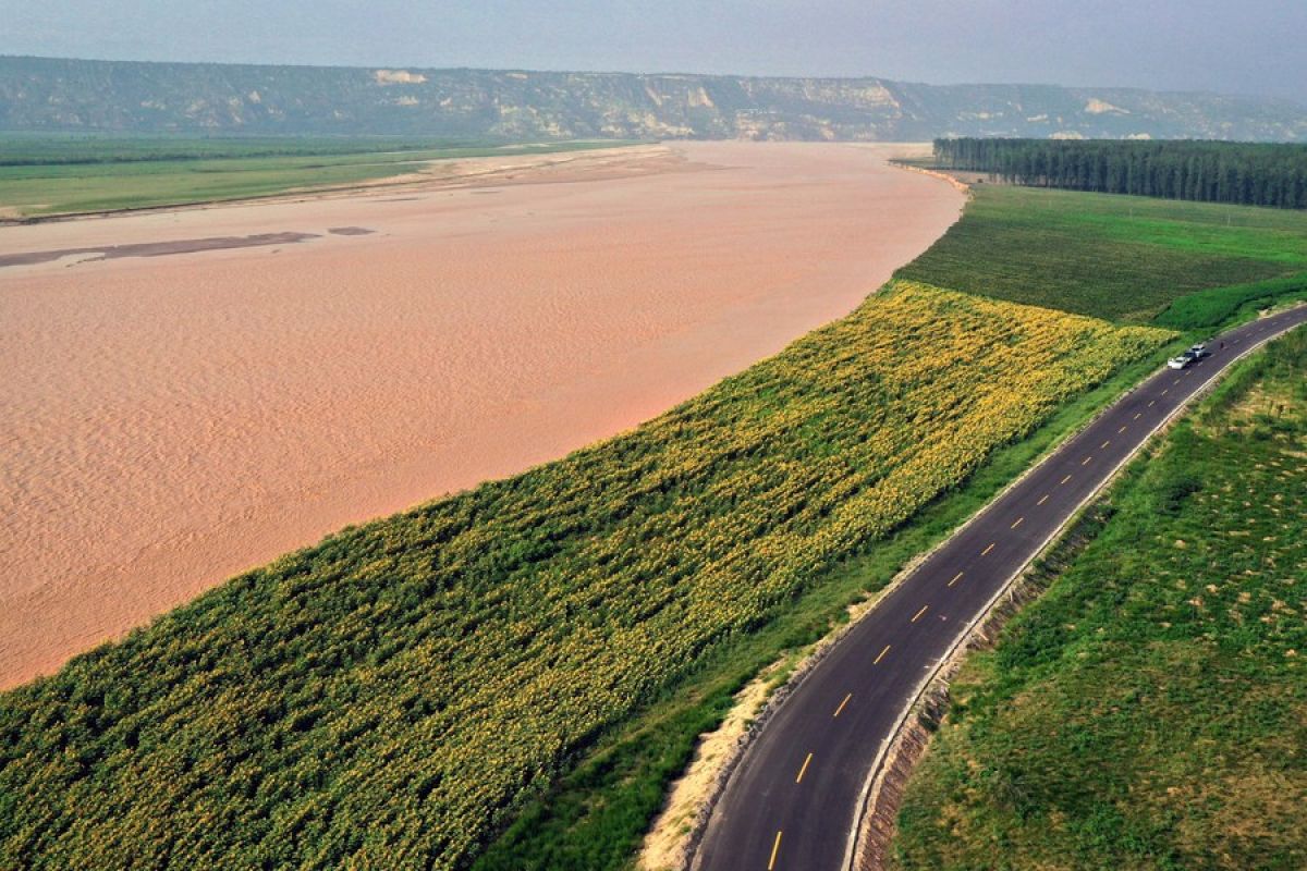 Studi: Sungai Kuning modern mulai terbentuk 1,25 juta tahun lalu
