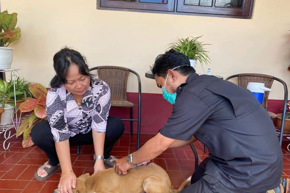 12 warga Ambon jadi korban gigitan anjing rabies